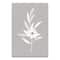 Soft White Botanicals 20" x 30" Canvas Wall Art